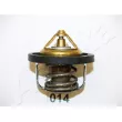 ASHIKA 22-014 - Thermostat d'eau