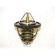 ASHIKA 22-063 - Thermostat d'eau