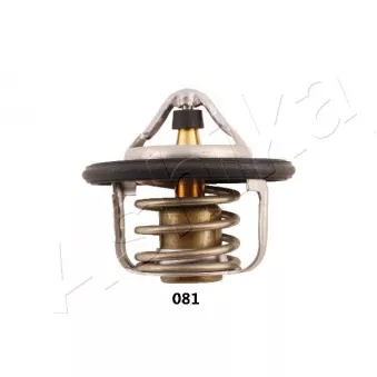 Thermostat d'eau ASHIKA OEM 21200ED00A