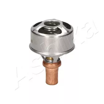 Thermostat d'eau Metalcaucho 30304