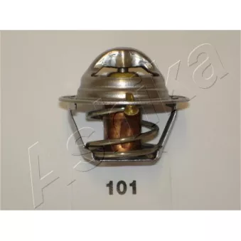 Thermostat d'eau ASHIKA 38-01-101