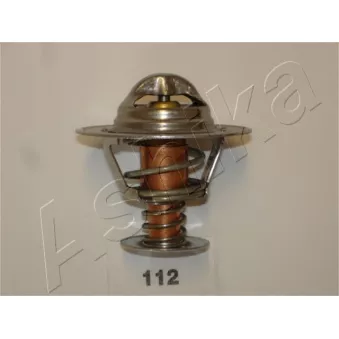 Thermostat d'eau ASHIKA 38-01-112