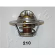 ASHIKA 38-02-210 - Thermostat d'eau