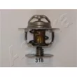 ASHIKA 38-03-318 - Thermostat d'eau