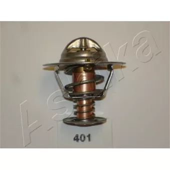 Thermostat d'eau CALORSTAT BY VERNET TH6599.78J