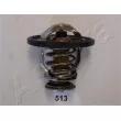 ASHIKA 38-05-513 - Thermostat d'eau