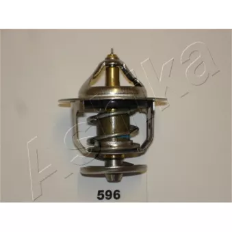 Thermostat d'eau ASHIKA 38-05-596
