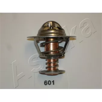 Thermostat d'eau ASHIKA OEM 9008023002