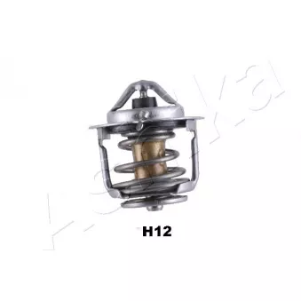 Thermostat d'eau ASHIKA 38-0H-H12