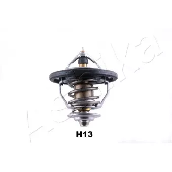 ASHIKA 38-0H-H13 - Thermostat d'eau