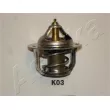 ASHIKA 38-0K-K03 - Thermostat d'eau