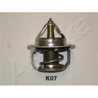 ASHIKA 38-0K-K07 - Thermostat d'eau