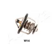 ASHIKA 38-0W-W14 - Thermostat d'eau