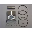 Piston ASHIKA [39-105M]