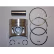 ASHIKA 39-501M - Piston