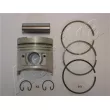 ASHIKA 39-513 - Piston