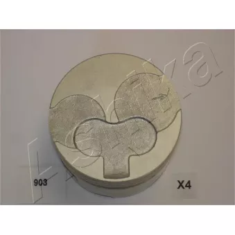 Piston ASHIKA OEM 20IZ013