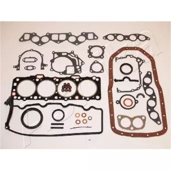 Jeu complet de joints d'étanchéité, moteur ASHIKA OEM NI1010105E7576