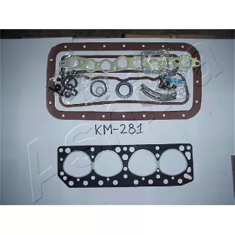 ASHIKA 49-02-281 - Jeu complet de joints d'étanchéité, moteur