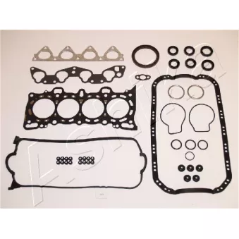 Jeu complet de joints d'étanchéité, moteur ASHIKA 49-04-493