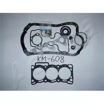 Jeu complet de joints d'étanchéité, moteur ASHIKA 49-06-608