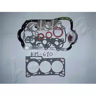 Jeu complet de joints d'étanchéité, moteur ASHIKA 49-06-610