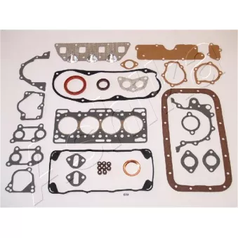 Jeu complet de joints d'étanchéité, moteur ASHIKA [49-08-809]