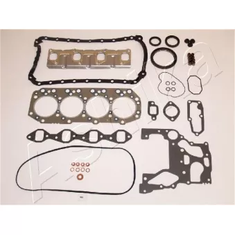 Jeu complet de joints d'étanchéité, moteur ASHIKA 49-09-992