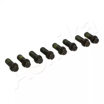 Vis/boulon au support du pignon pour volant moteur ASHIKA 54-03-300