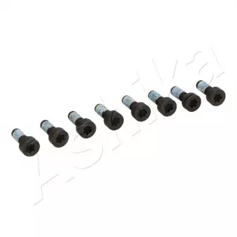 Vis/boulon au support du pignon pour volant moteur ASHIKA 54-08-800