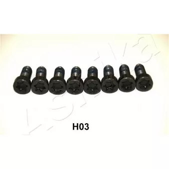 Vis/boulon au support du pignon pour volant moteur ASHIKA 54-0H-H03