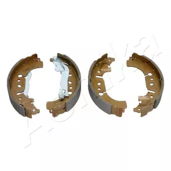 Jeu de mâchoires de frein ASHIKA OEM 77367099