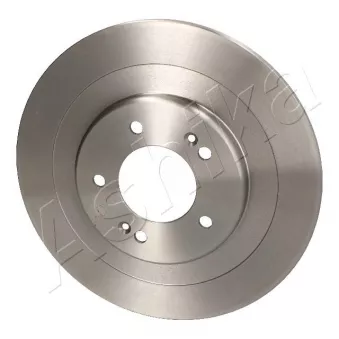 Jeu de 2 disques de frein arrière ASHIKA OEM 584113Z700