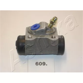 ASHIKA 65-06-609 - Cylindre de roue arrière gauche