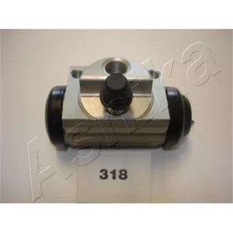 Cylindre de roue ASHIKA 67-03-318
