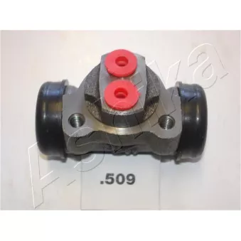 Cylindre de roue ASHIKA 67-05-509