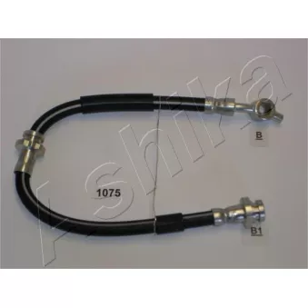 Flexible de frein ASHIKA OEM 462102F002