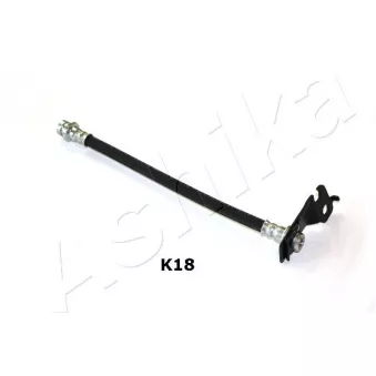 Support, flexible de frein arrière gauche ASHIKA OEM 5873707000