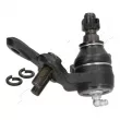 ASHIKA 73-02-239 - Rotule de suspension