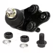 ASHIKA 73-02-290L - Rotule de suspension avant gauche 