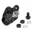 ASHIKA 73-02-290L - Rotule de suspension avant gauche 