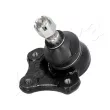 Rotule de suspension ASHIKA [73-03-336]