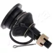 Rotule de suspension ASHIKA [73-04-423]