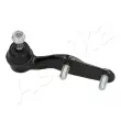 ASHIKA 73-04-429R - Rotule de suspension avant droit 