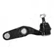 ASHIKA 73-04-429R - Rotule de suspension avant droit 