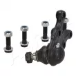 ASHIKA 73-05-523R - Rotule de suspension avant droit 