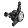 ASHIKA 73-09-906 - Rotule de suspension