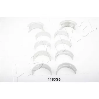 Kit de coussinet de vilebrequin ASHIKA OEM 03NI002