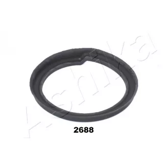 Patin de ressort ASHIKA [GOM-2688]