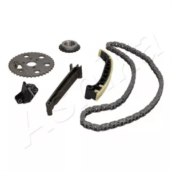 Kit de distribution par chaîne ASHIKA OEM A6600520116